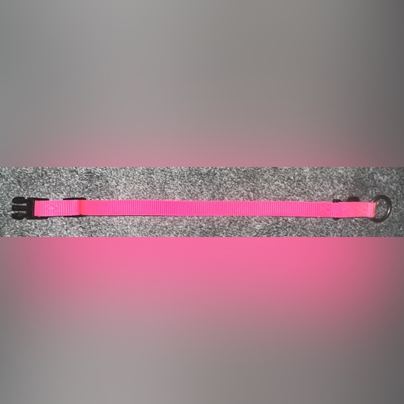 🎉HOST PICK 🎉 Hot Pink Dog Collar - Picture 4 of 7